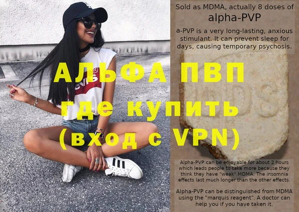 стафф Майский
