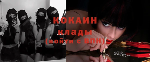 стафф Майский