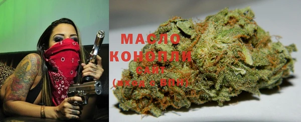 стафф Майский