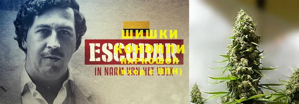 стафф Майский